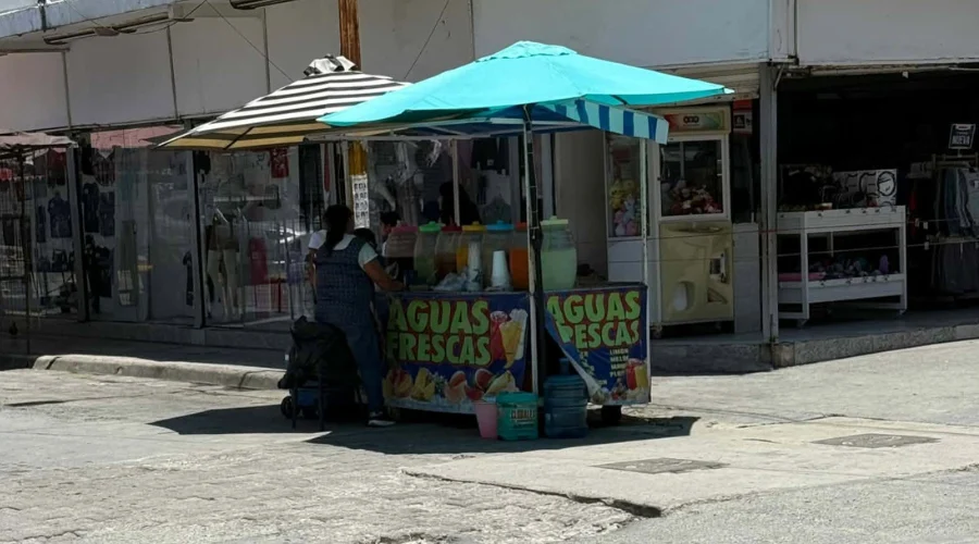 Bajan ventas para ambulantes ante calor extremo