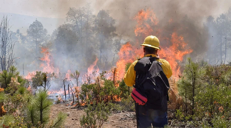 INCENDIO 89a