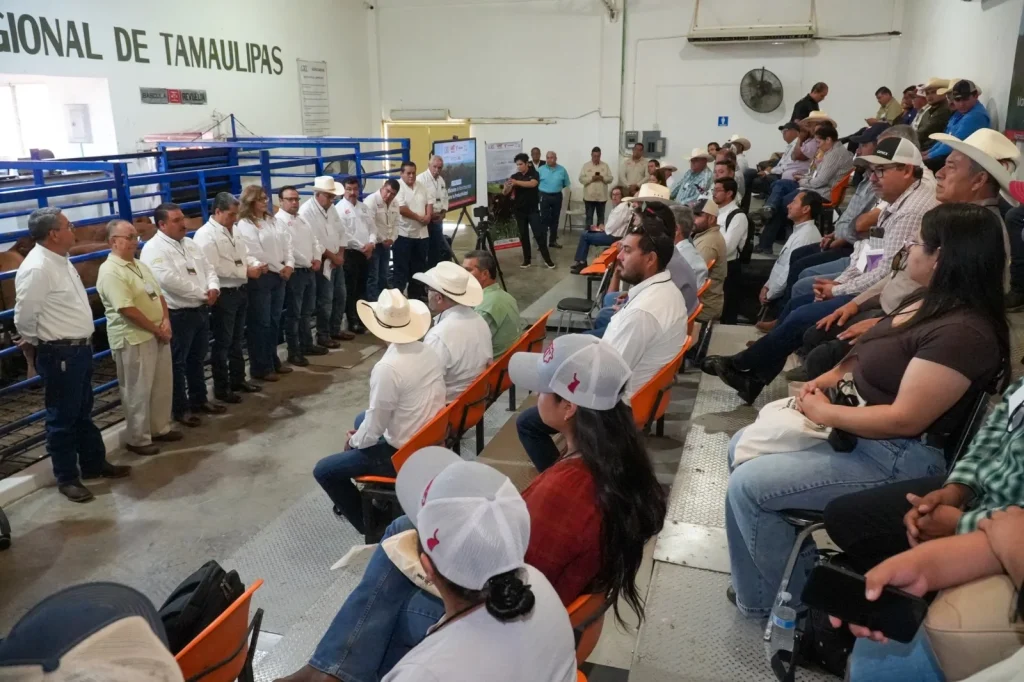 Impulsa UAT alianza estratégica para fortalecer el sector ganadero en Tamaulipas 1 WhatsApp Image 2026 06 23 at 3.59.29 PM 1