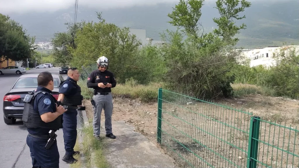 Ahuyentan a oso que deambulaba por avenidas de San Pedro 1 734355253 1635678711463818 8844012276197149139 n