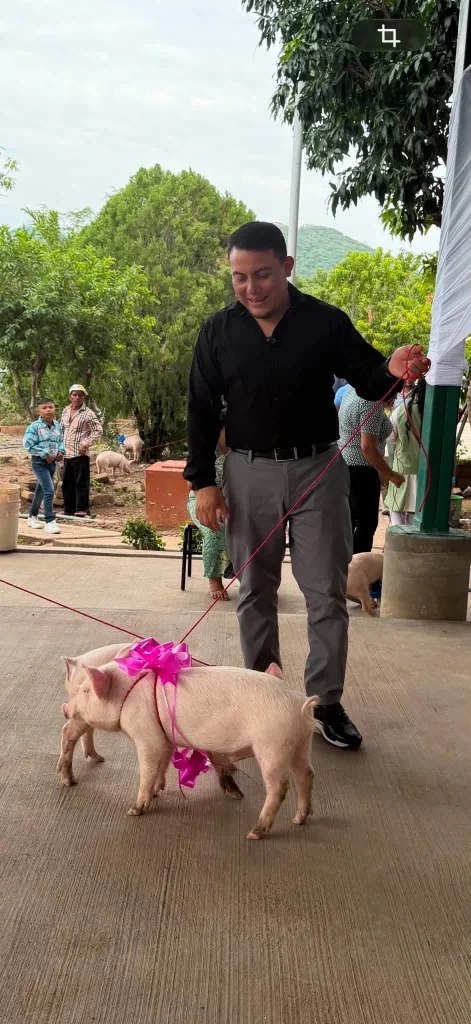 Padrino de graduación regala cerditos a estudiantes en Guerrero 2 742416993 122275826348190624 8993309202144256979 n