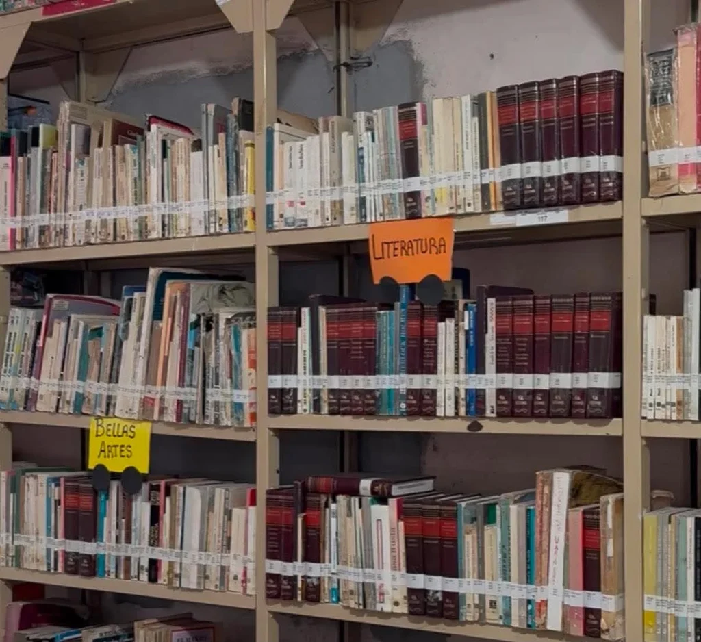 Invitan bibliotecas públicas a campamentos de verano 2 747695187 1404645285046057 7205300434929395168 n