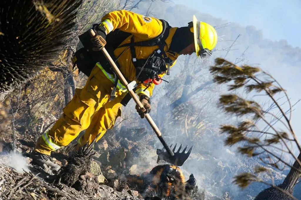 Brigadistas de Protección Civil de NL y Conafor combatirán incendios en Canadá 1 755390225 1746455986371162 6318745592463791883 n