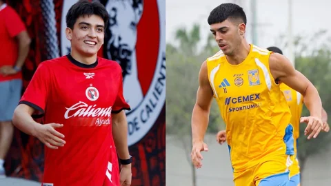Debut-de-Tigres