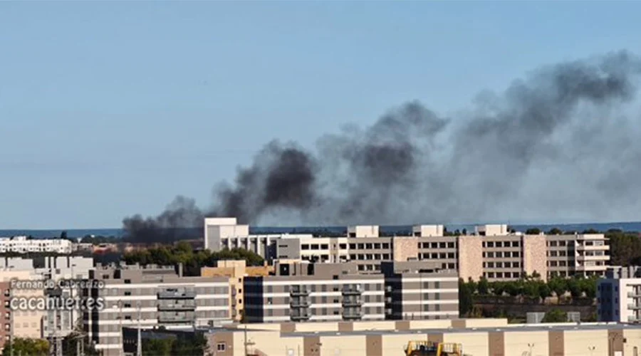ECPLOSION GUAMUCHIL 2a