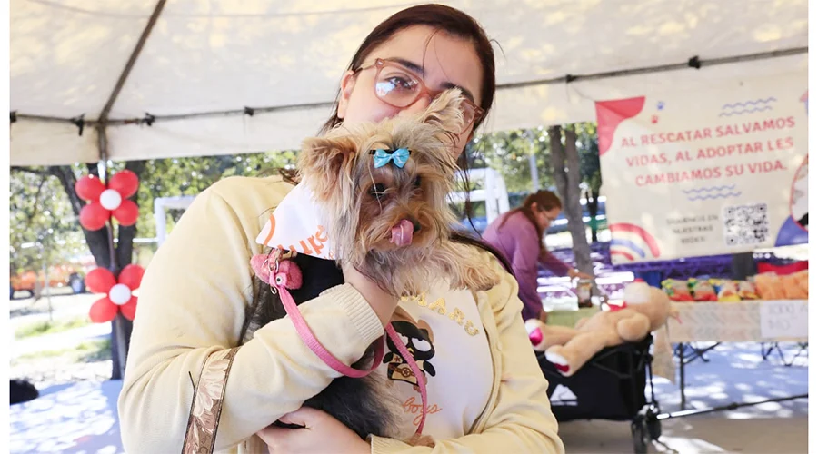 GUADALUPE PERRITOS 1a