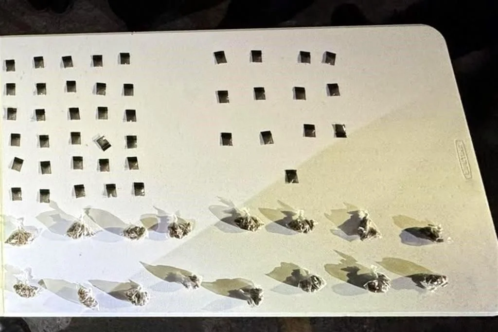 Robo de cajas fuerte: Revelan la captura de 4 implicados en Monterrey 2 ImageTransformer 1