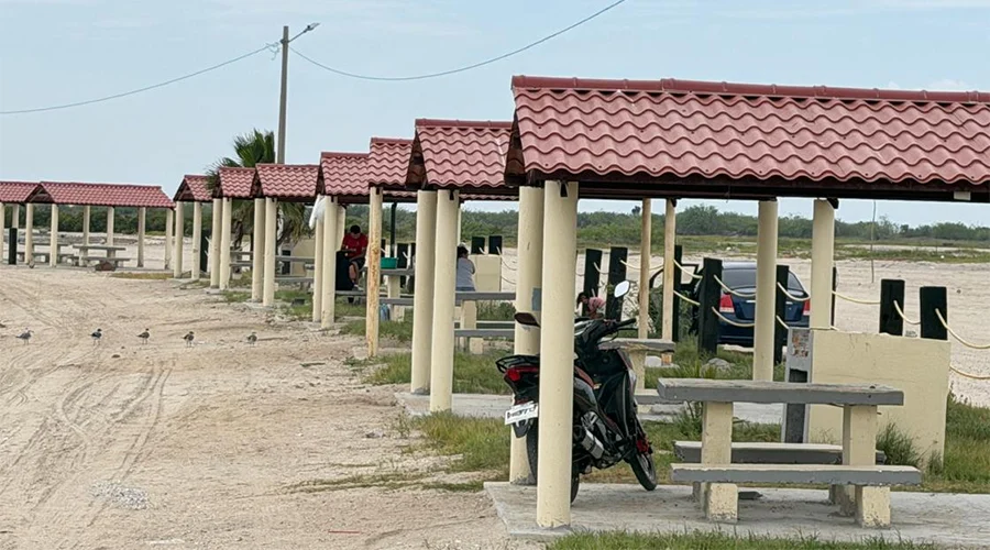 Mantienen en San Fernando rehabilitación de palapas en playa Carbonera 1 PALAPAS 2bb