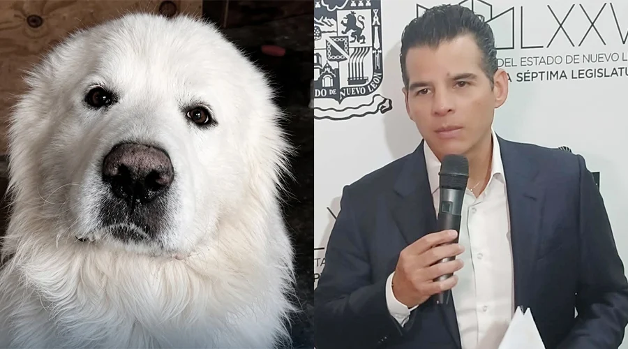 ROCKY OK 2a