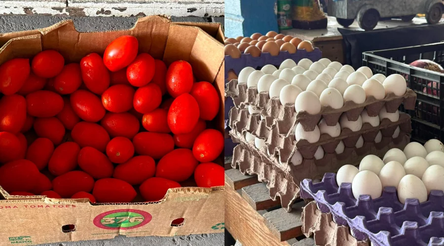 Reducen costos de huevo y tomate por mayor producción