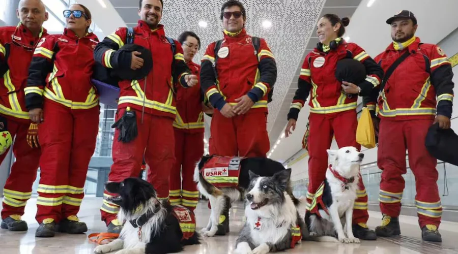 Rescatistas regresan a casa tras apoyo a Venezuela por terremotos