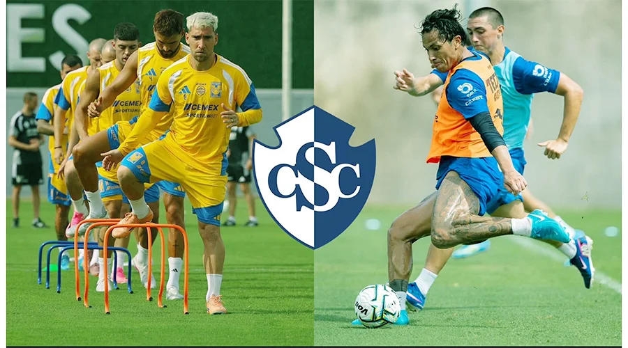 TIGRES 89d