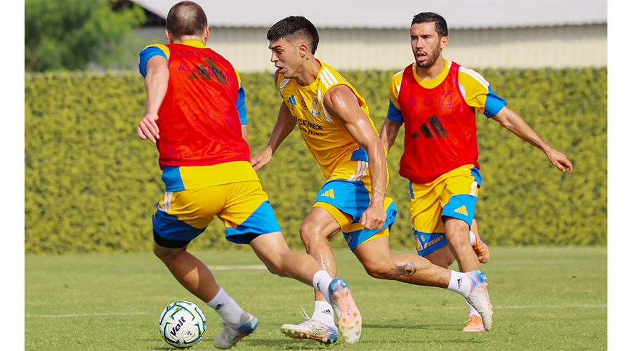 TIGRES PRACTICA 1a