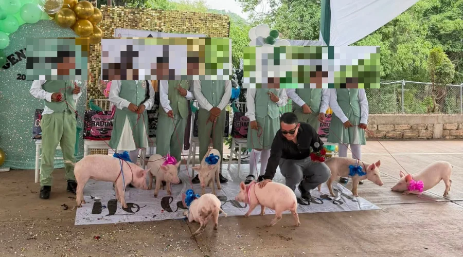 Un influencer se volvió viral en redes sociales luego de apadrinar la generación de una telesecundaria y sorprender a los alumnos con un peculiar regalo de graduación, siete cerditos para reconoce