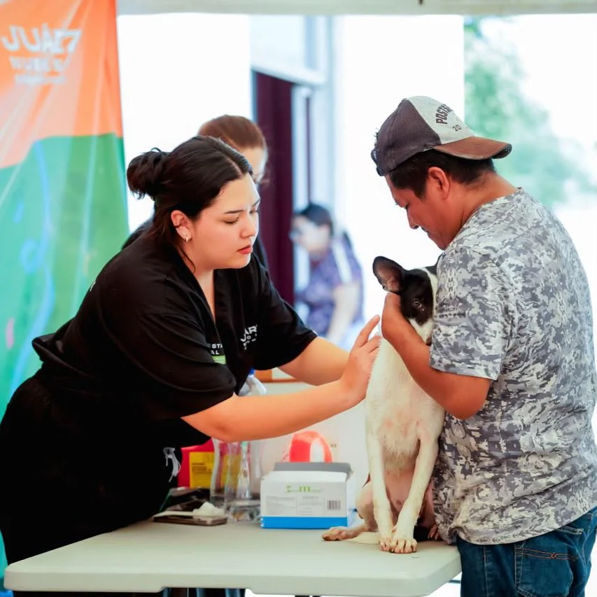 Realizan jornada de bienestar animal en Juárez 1 WhatsApp Image 2026 07 27 at 1.30.25 PM 1