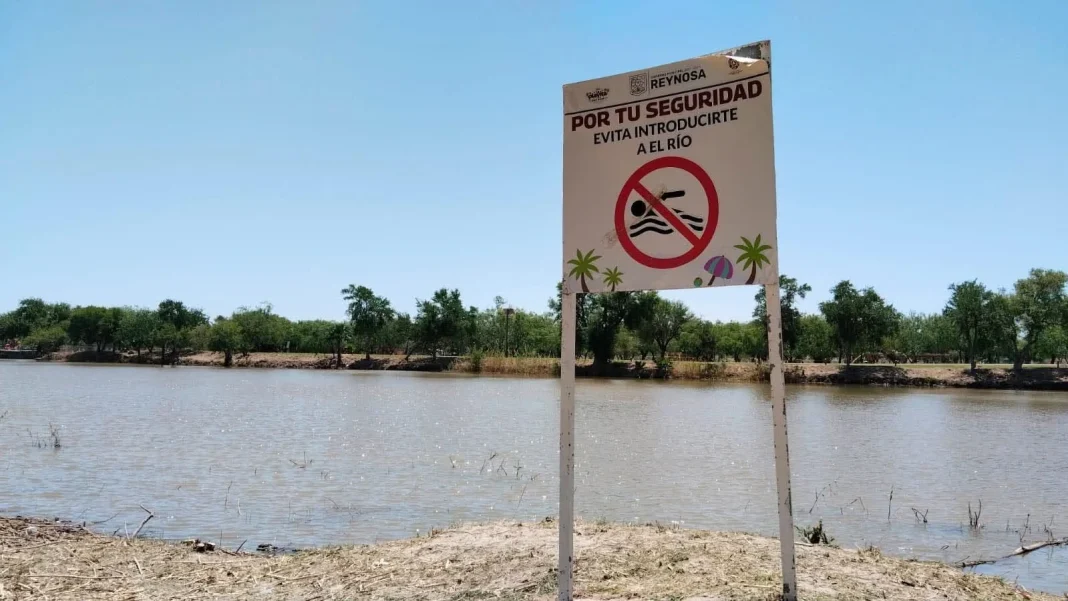 hallazgo-de-lagarto-en-la-playita Cría de lagarto en La Playita capturada por pescadores en el área del río Bravo en Reynosa.