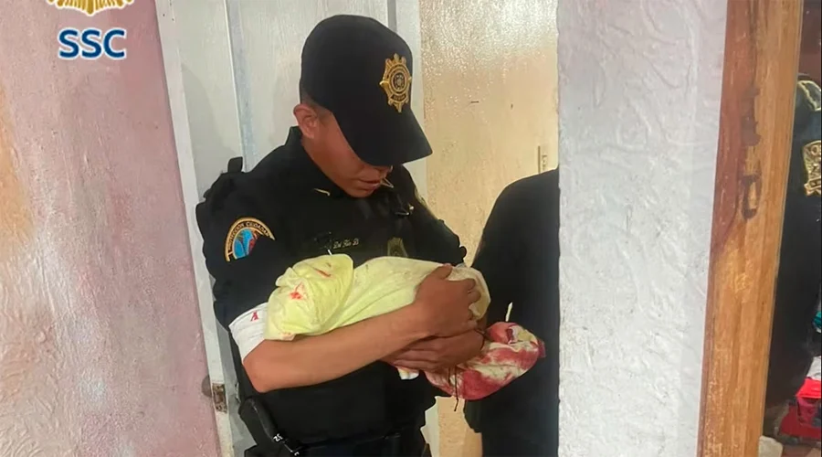 poli bebe