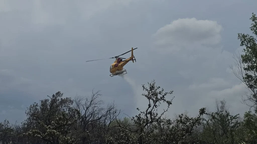 Continúa combate a incendio forestal en Lampazos NL 3 760401134 1427132735909286 6199089119437542853 n