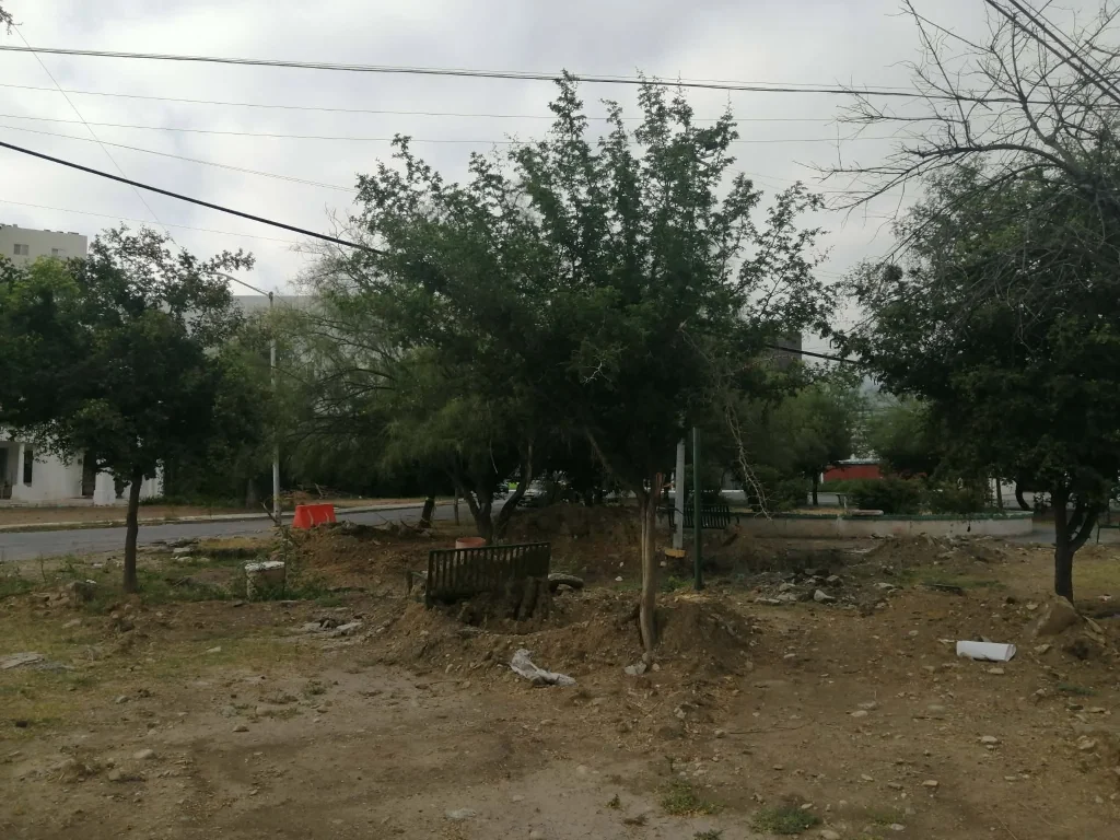 AyD destruye parque… y desaparece 1 774712196 1484746013672910 3540709704596833122 n