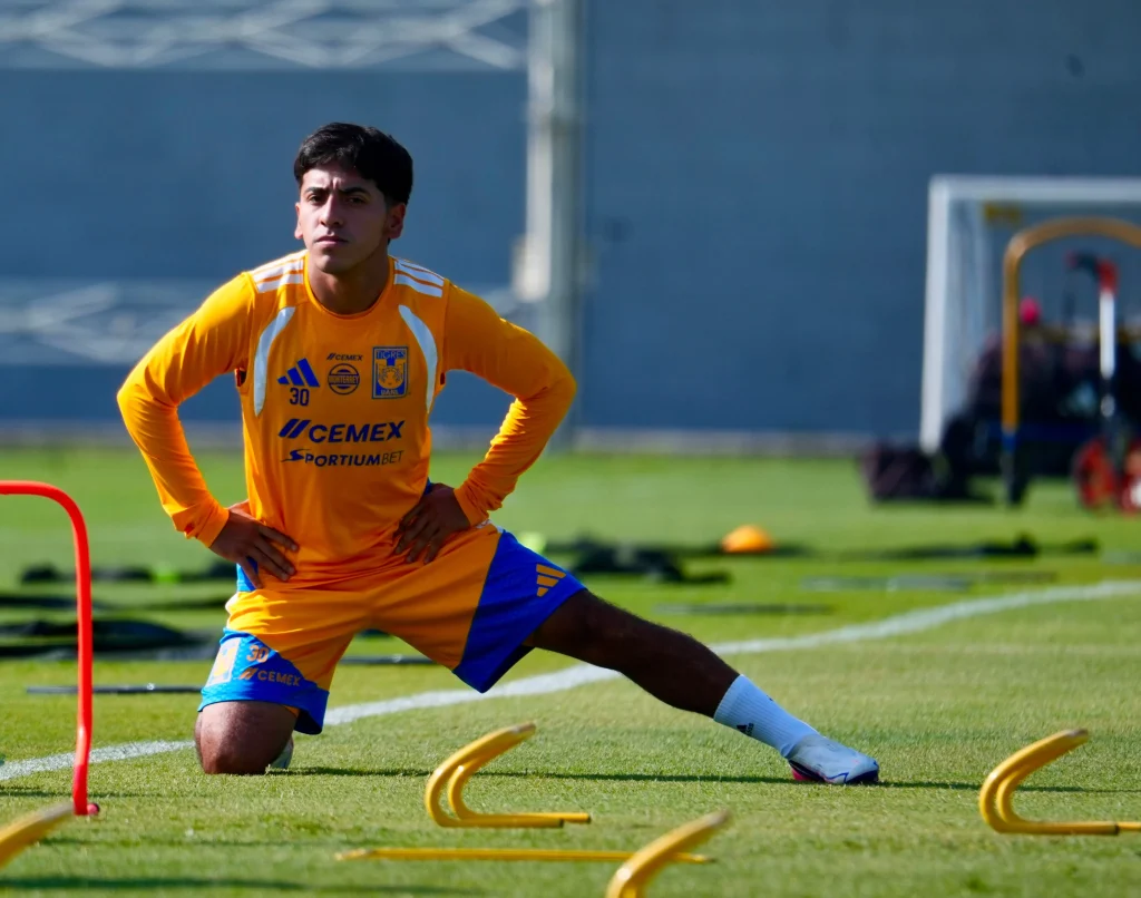Recupera Tigres a Francisco Reyes 3 777898187 1085359317764894 8092788643739240103 n