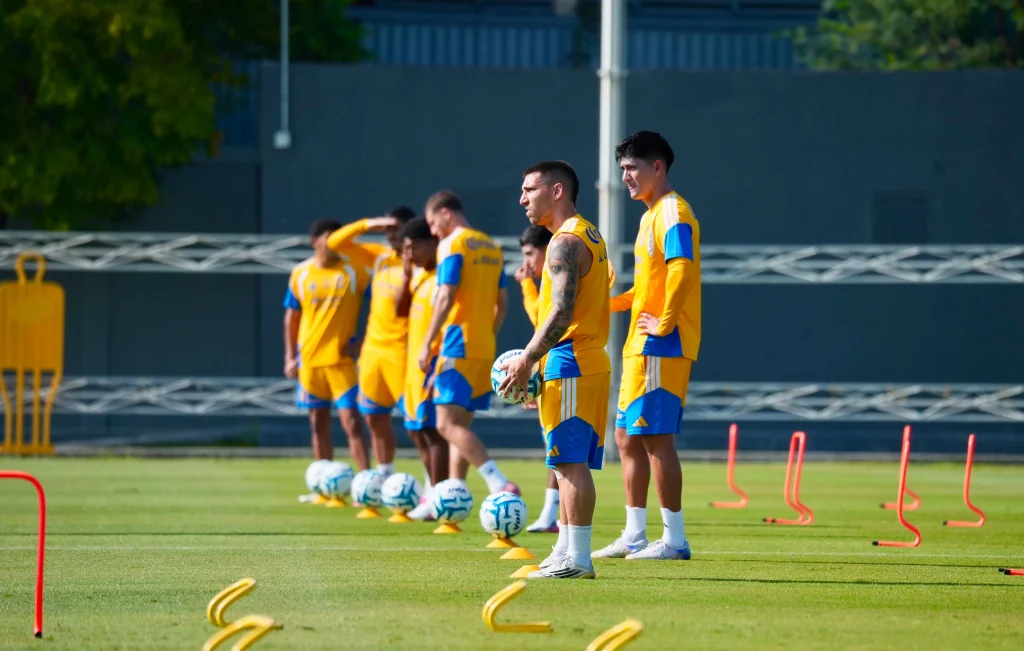 Recupera Tigres a Francisco Reyes 6 780421824 1563286905001697 5714252768783109188 n