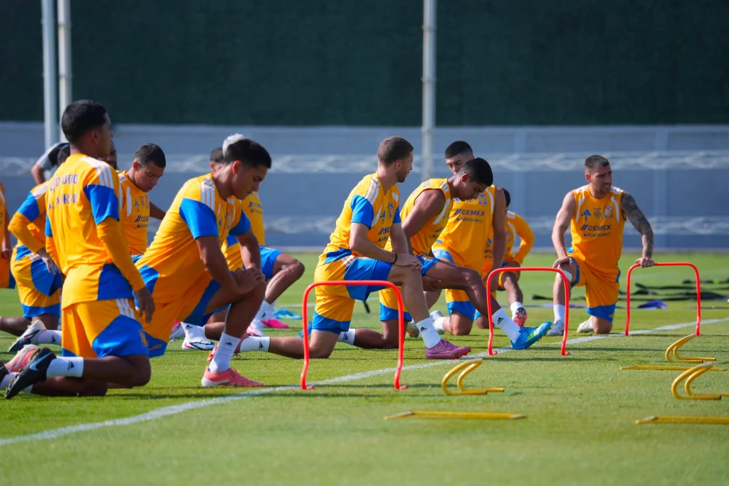 Recupera Tigres a Francisco Reyes 5 781578965 976498552129981 2822224078487175591 n