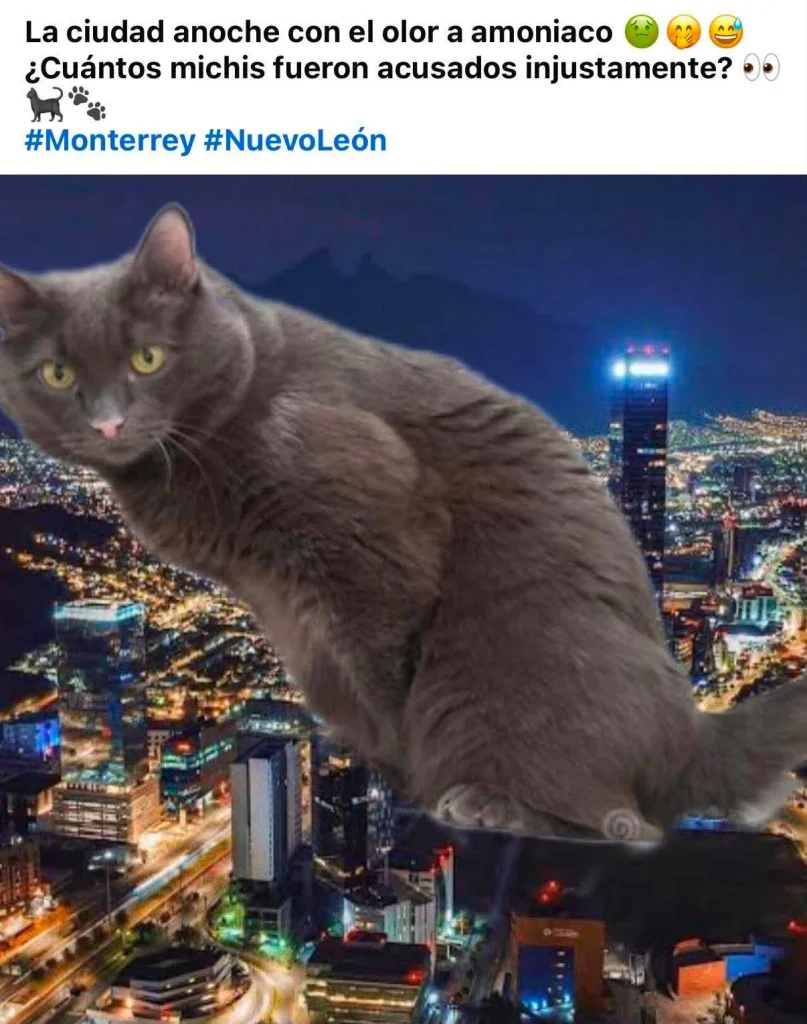 Reportan olor extraño en distintos puntos del área metropolitana 1 784373710 1540002554050822 4719095703534338204 n