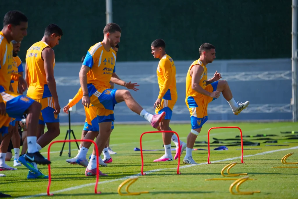 Recupera Tigres a Francisco Reyes 4 784506450 1051401204369841 7086349349338930416 n