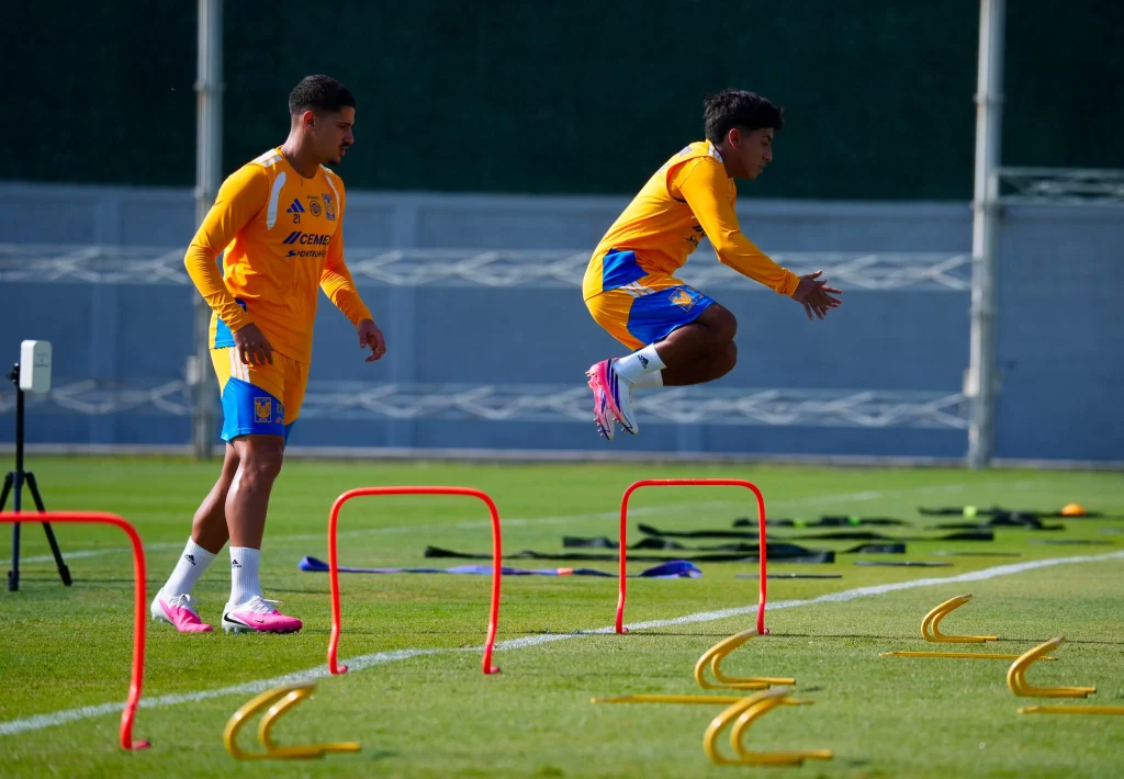 Recupera Tigres a Francisco Reyes 1 785257895 4418167495115736 2544829440844088051 n