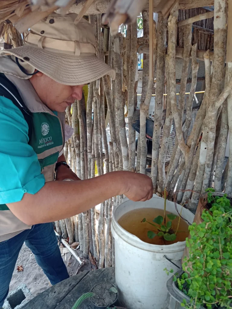 Refuerza IMSS Tamaulipas prevención contra el dengue 1 7a5ee8d2 c35b 4733 9997 769690dc043b