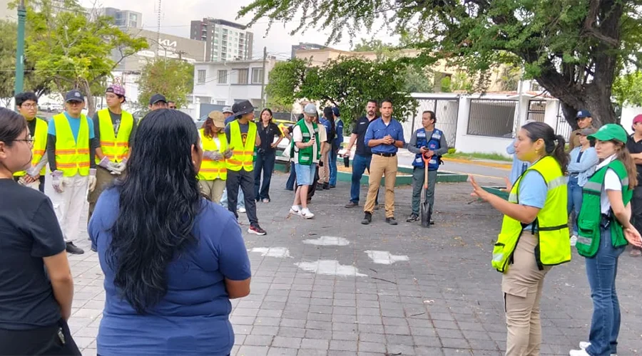 Planta Monterrey 20 árboles nativos en el Parque Aarón Sáenz 1 Arboles 2BBB