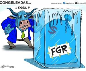 CONGELEADAS CONGELEADAS