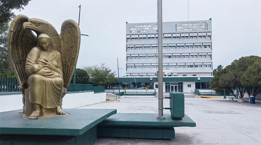 IMSS REYNOSA 1las