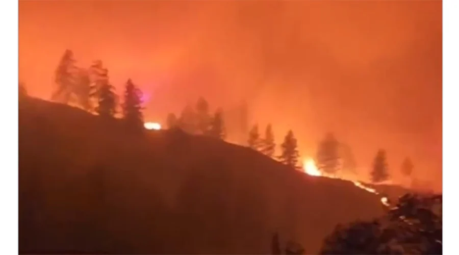 INCENDIO CANADA 89