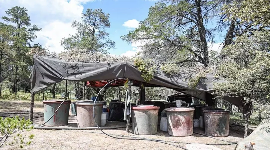 Hallan laboratorio clandestino y campamento en Zacatecas 1 LABORATORIO ZAC 1a