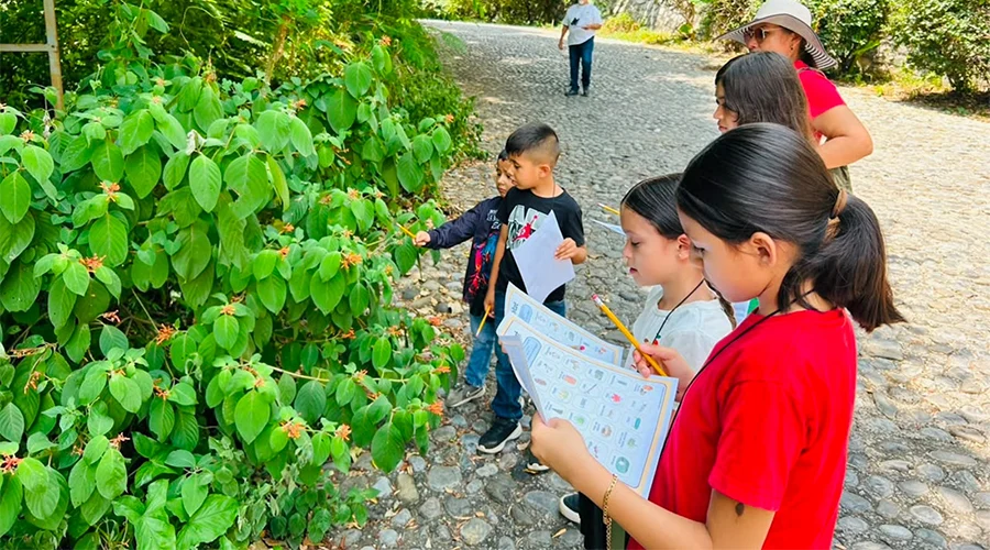 Fortalece Tamaulipas conservación de la fauna con participación en el Blitz Monarca 2026 1 MONARCA 2bb