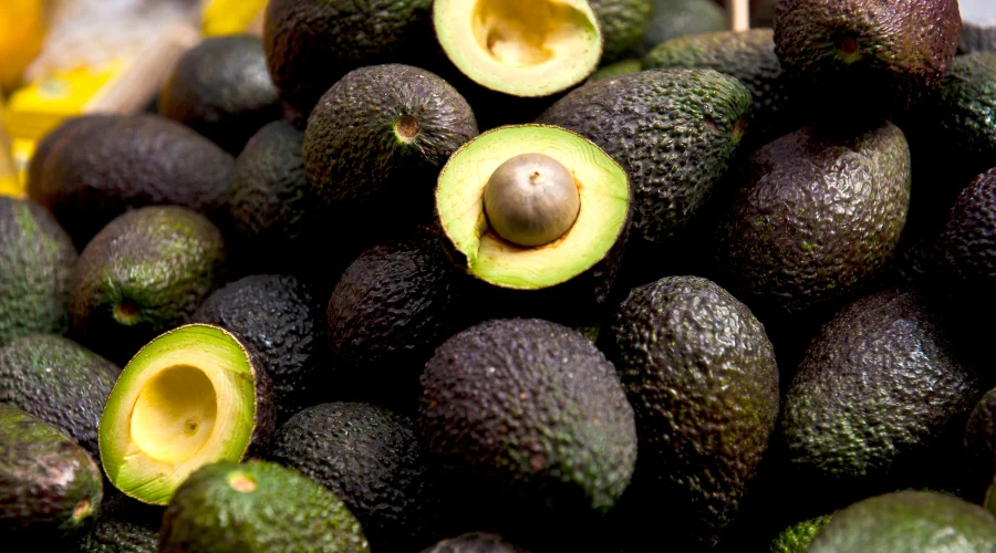 Michoacán reanuda exportación de aguacate a EU