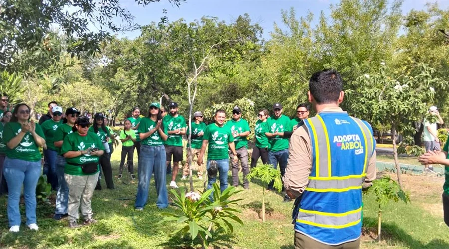 REFORESTACION 122a