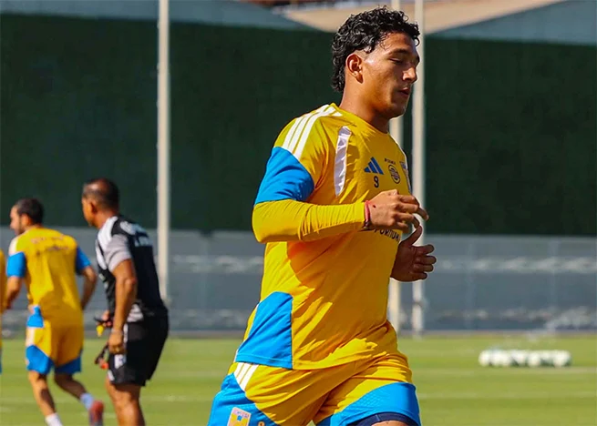 César Araújo y Ozziel Herrera son bajas de Tigres por lesión 1 TIGRES 99as