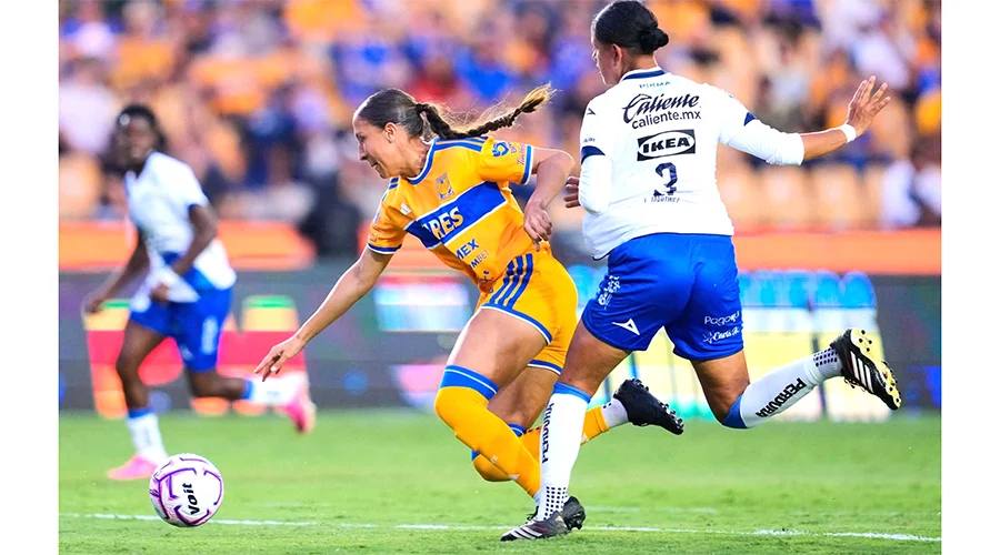 TIGRES FEM 1apz