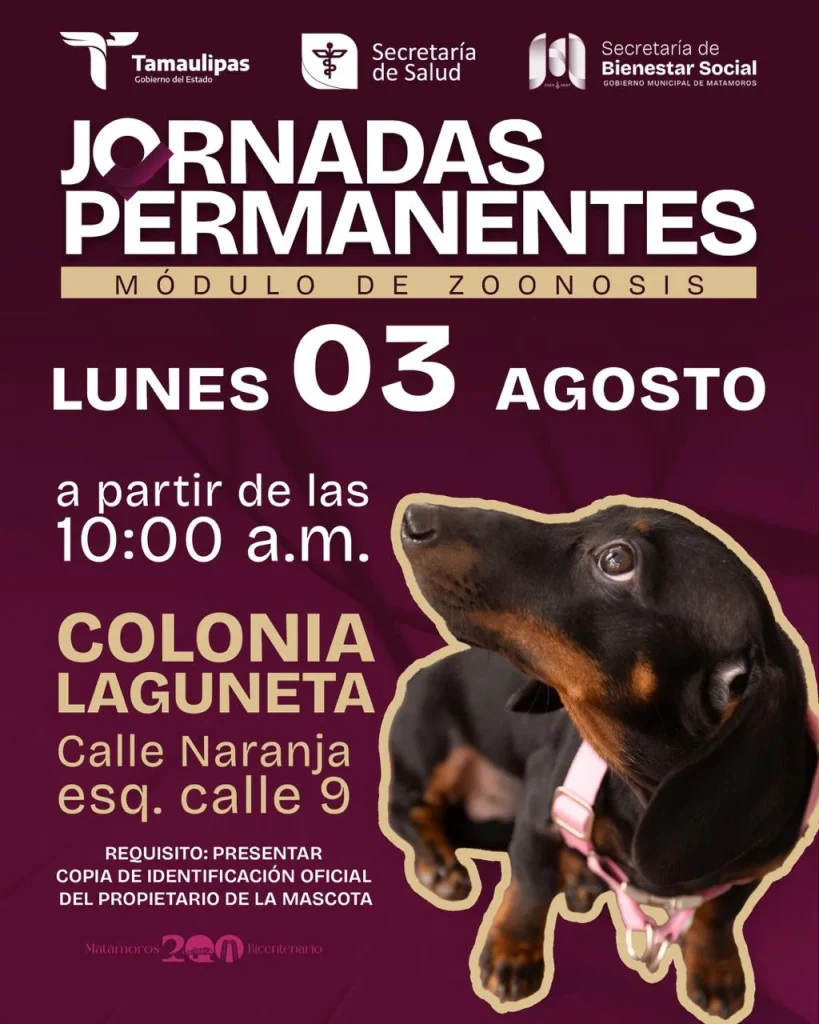 Actividades en Matamoros: 7 eventos imperdibles de la agenda municipal 4 WhatsApp Image 2026 08 02 at 4.17.32 PM