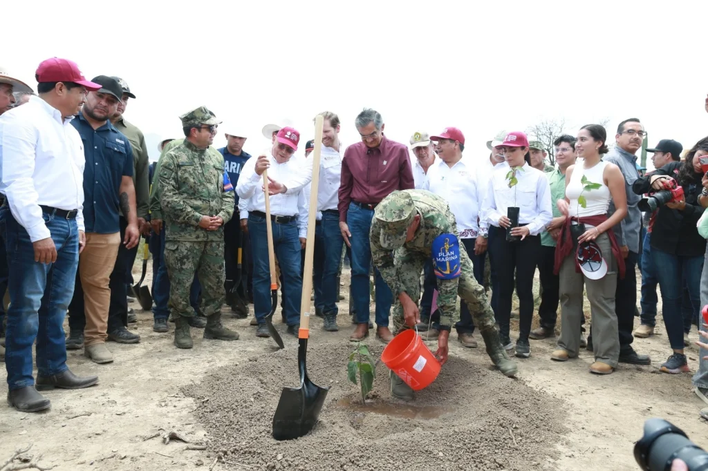 Tamaulipas participa en Jornada Nacional de Reforestación 2 WhatsApp Image 2026 08 09 at 3.29.31 PM 2