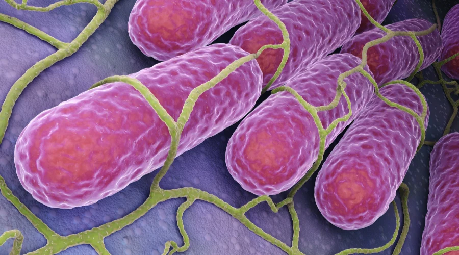 Y ahora advierten de brote de salmonela en EU