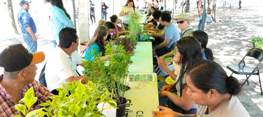 Promueve Monterrey educación ambiental con “Alameda de Pinta” 1 alameda de pinta 2