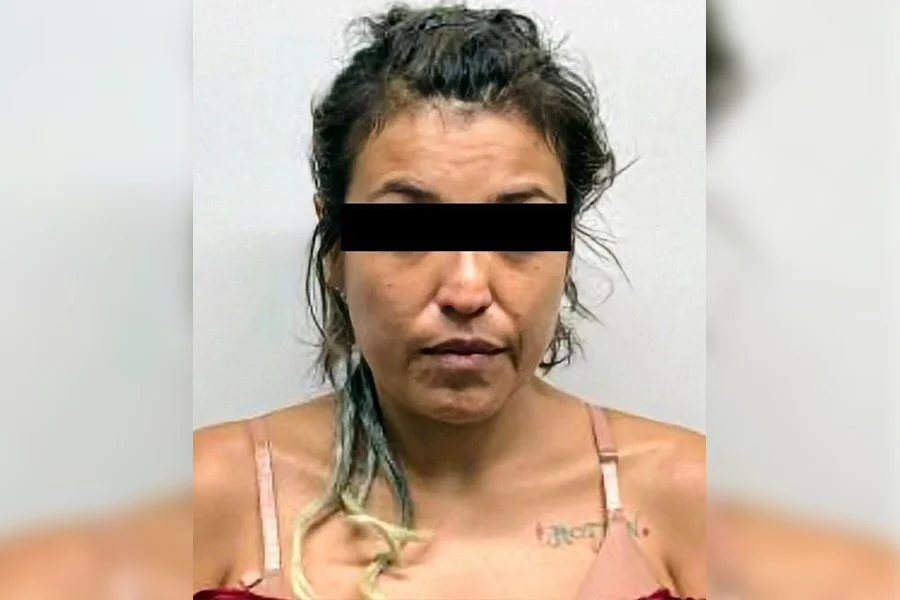 detencion-mujer-guadalupe-secuestro-agravado Detención de una mujer investigada por secuestro agravado en Guadalupe