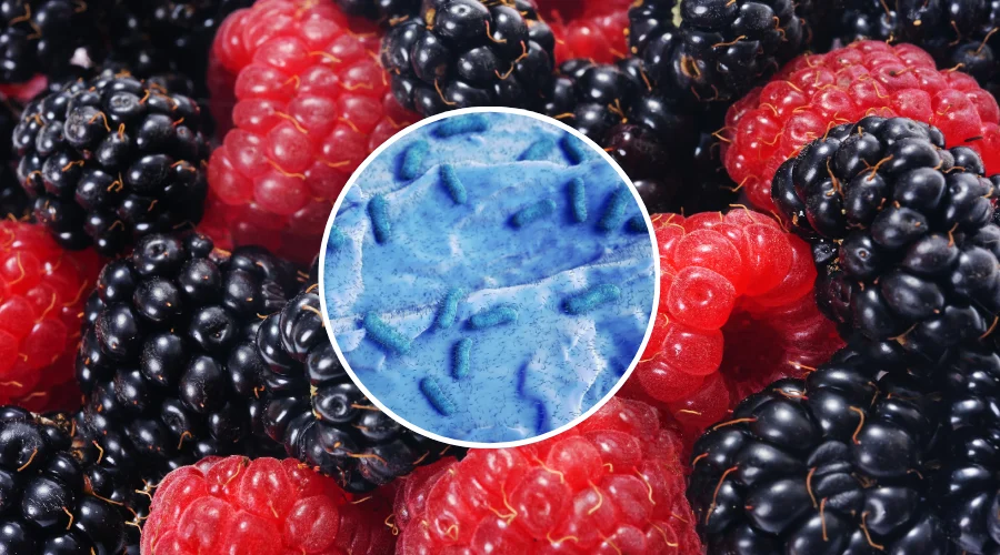 frutos-rojos-congelados-e-coli-retiro