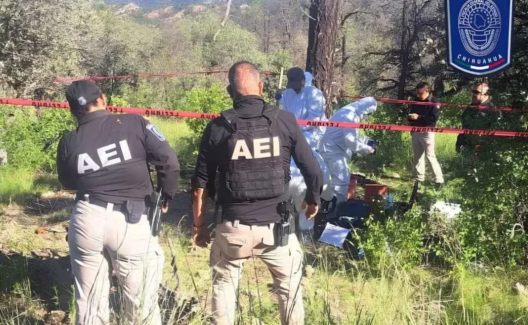 hallan-osamentas-y-restos-el-willy-chihuahua Autoridades hallan osamentas y restos óseos en la localidad de El Willy, Chihuahua.