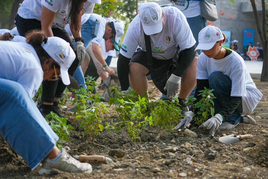 Heineken México suma esfuerzos para reforestar el Parque del Agua 8 Voluntarios de Heineken México participan en la reforestación del Parque del Agua