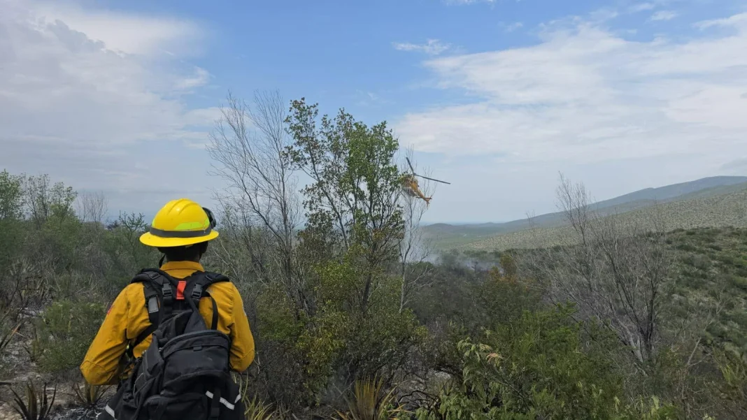 incendio-forestal-en-lampazos-brigadistas