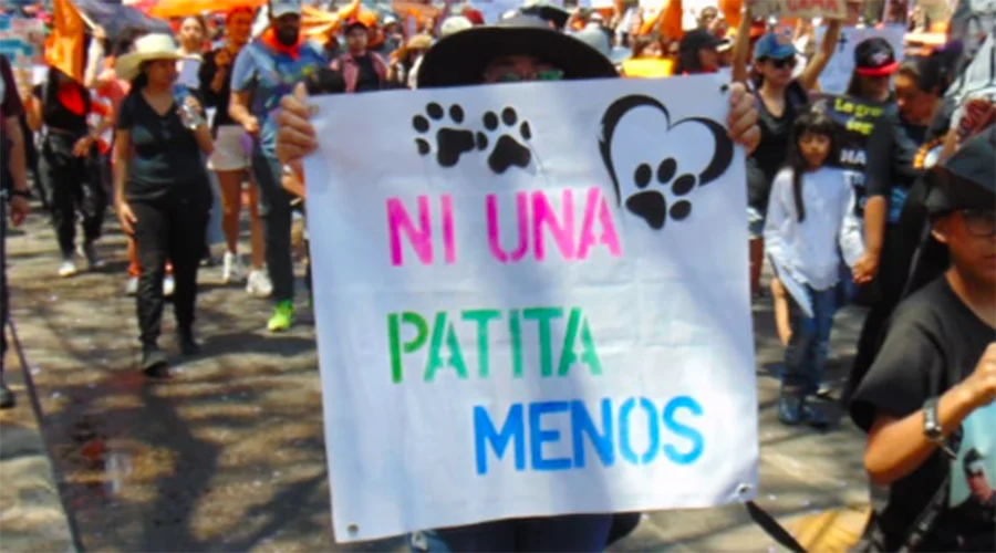 marcha-nacional-defensa-animales La Alianza Nacional Un Millón de Esperanzas convoca a una marcha nacional el próximo 23 de agosto del Monumento a la Revolución al Zócalo capitalino.